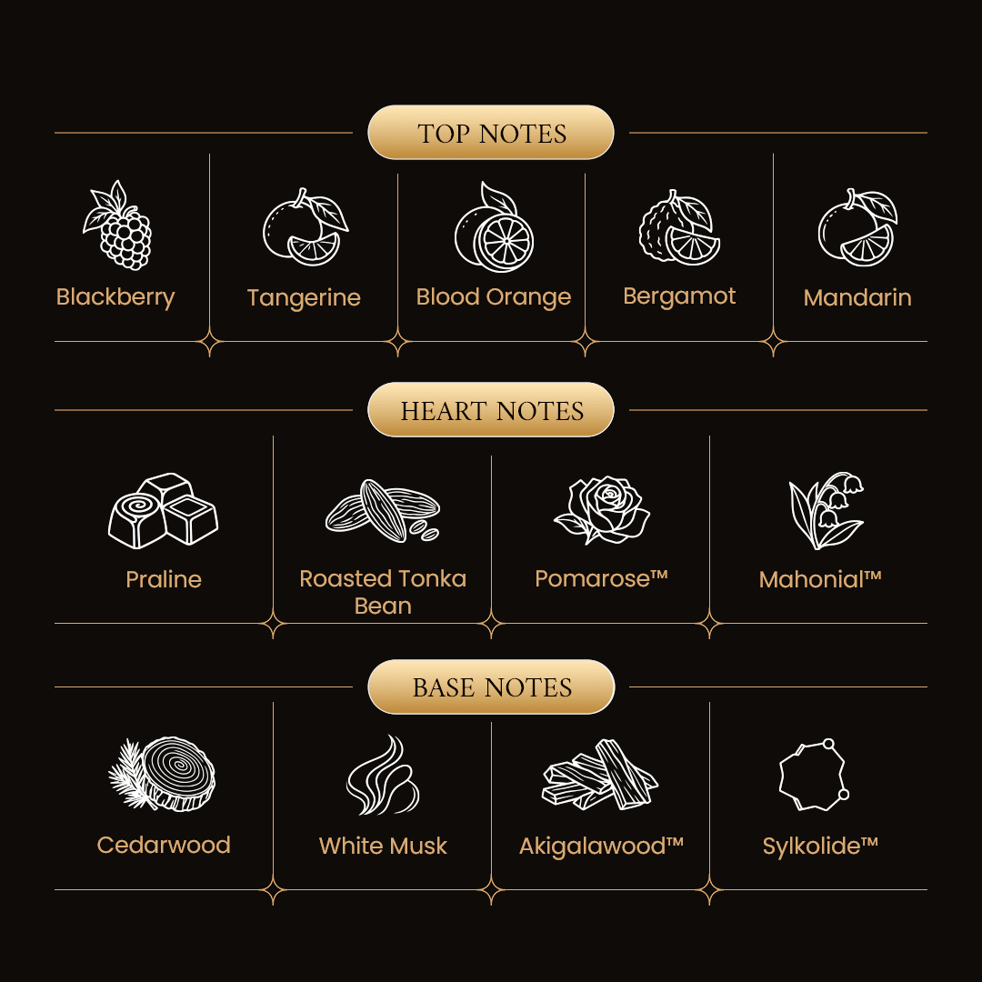 Momento Liquid Gold - TAHAMI PERFUMES