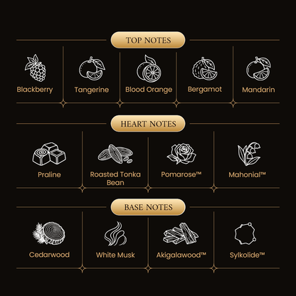 Momento Liquid Gold - TAHAMI PERFUMES